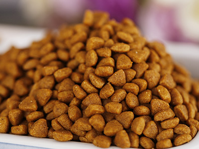 飼料營養(yǎng)學